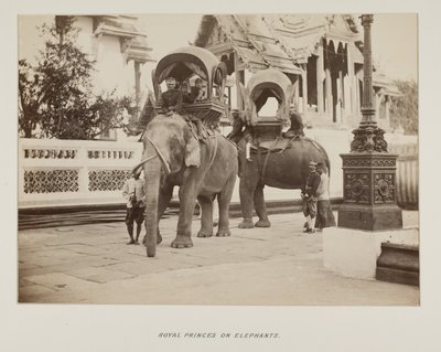Photograph in photograph album 作者 未知的摄影师