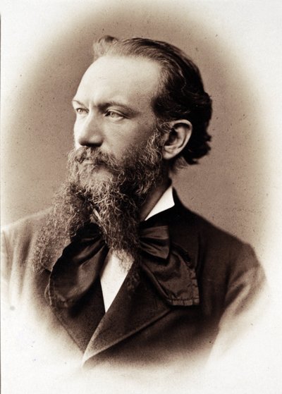 Portrait of Camillo Boito, Italian writer and architect (1836-1914). 作者 未知的摄影师