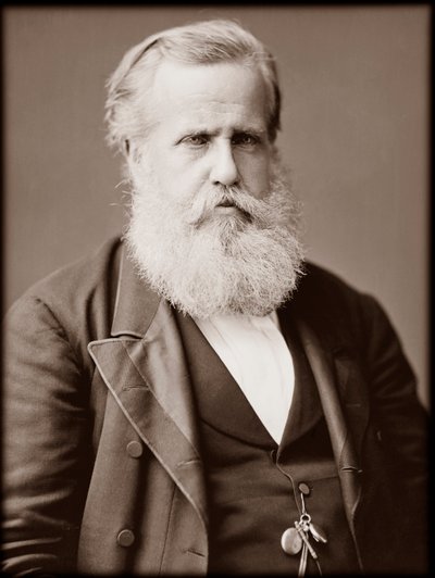 佩德罗二世（Peter II）（彼得二世）（Dom Pedro de Alcantara）（1825-1891）的肖像，巴西皇帝 作者 未知的摄影师