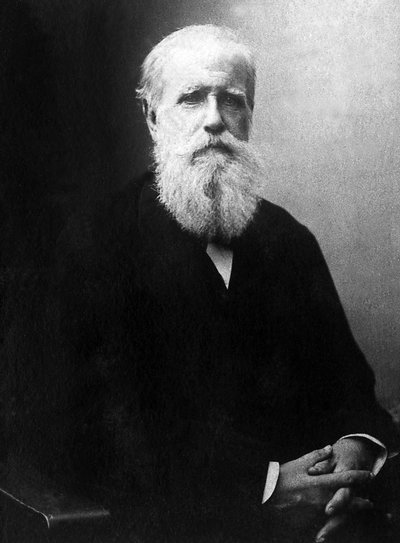 巴西皇帝 Dom Pedro de Alcantara（彼得二世）（1825-1891）的肖像。 作者 未知的摄影师