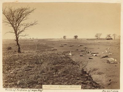 “ xciv团惊喜之景”，1881年 作者 不明