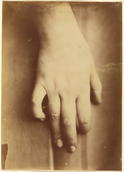 手的研究，1865 年（照片） 作者 未知的摄影师