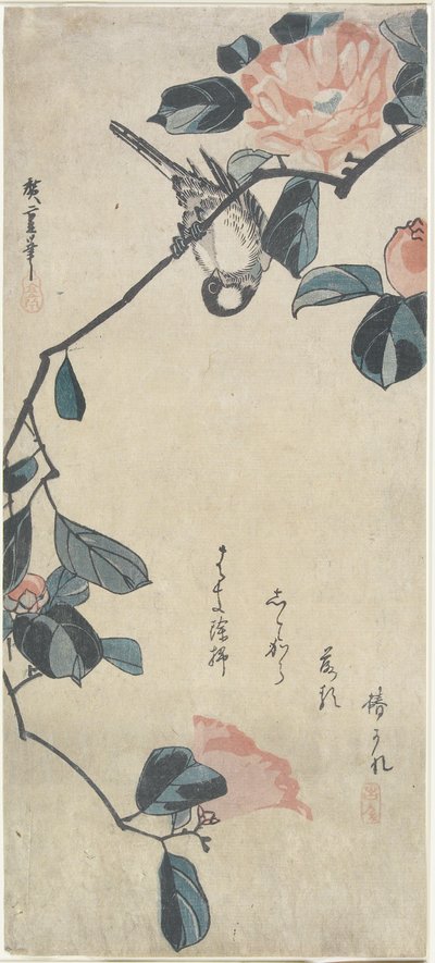 （山茶花鸟），19世纪初 作者 Utagawa Hiroshige