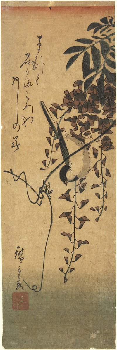 （紫藤分公司的鸟） 作者 歌川宏重