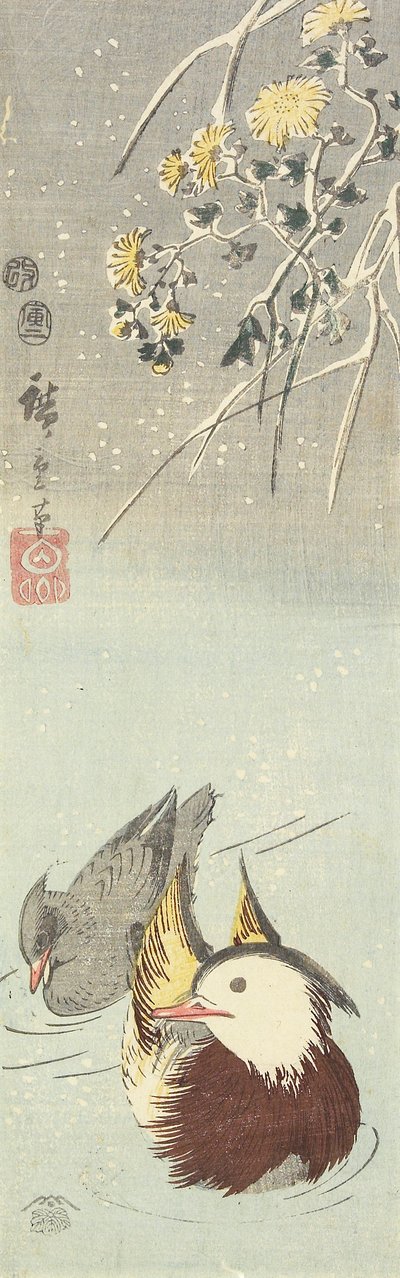 （菊花和鸳鸯），1854年2月 作者 Utagawa Hiroshige