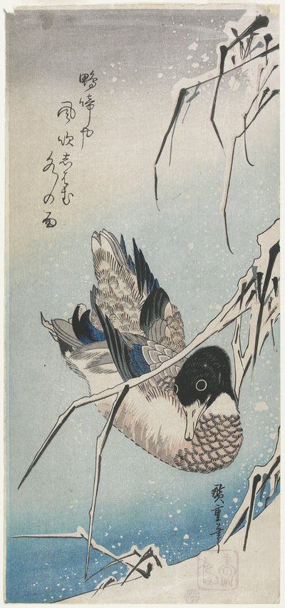 （鸭子和雪域芦苇），19世纪30年代初 作者 歌川宏重