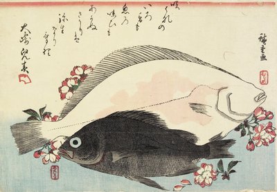 （侥幸和黑鲈，樱花） 作者 Utagawa Hiroshige