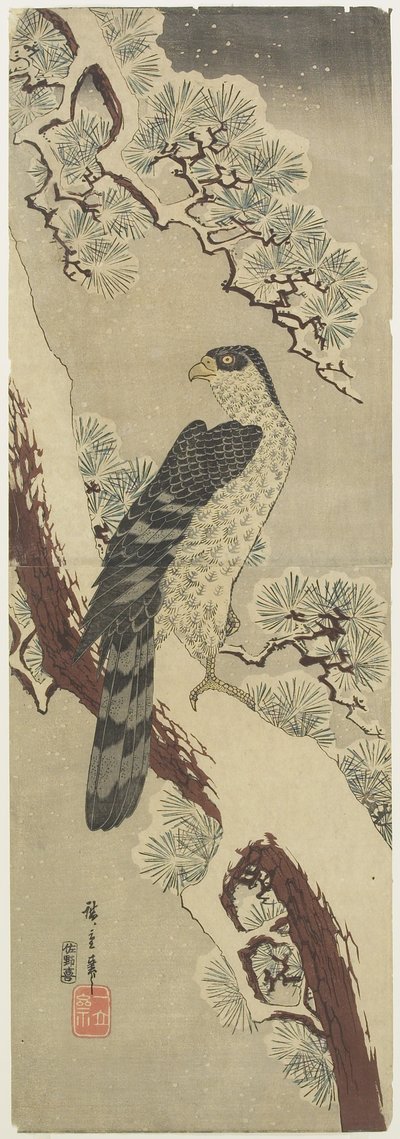 （Hawk on Pine Branch，Winter），19世纪初 作者 Utagawa Hiroshige