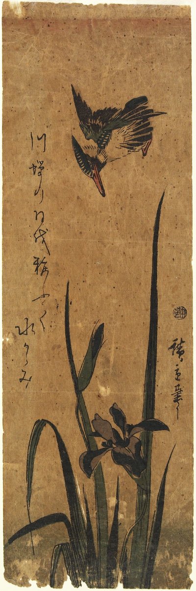 （Iris and Kingfisher），1830-1858 作者 Utagawa Hiroshige
