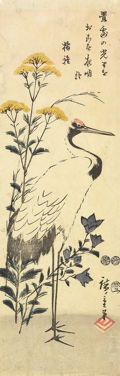（Patrinia，中国风铃草和鹤），1853年3月 作者 Utagawa Hiroshige