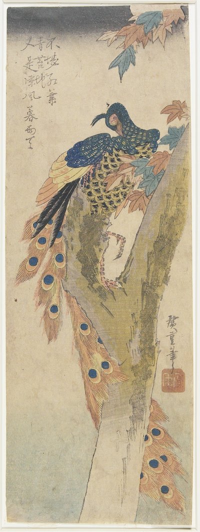 （枫树上的孔雀），19世纪初 作者 Utagawa Hiroshige