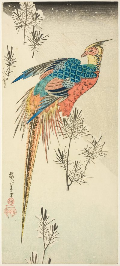 栖息在陡峭雪坡上小松树林中的金鸡 作者 歌川宏重