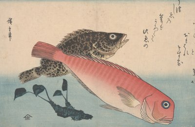 Amadai，Mebaru和Wasabi Root 作者 Utagawa Hiroshige
