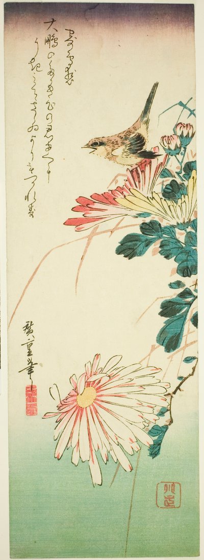 鸟和菊花 作者 歌川宏重
