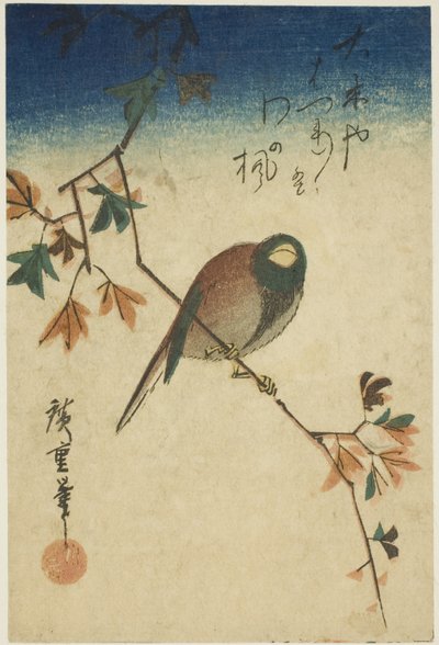 枫树枝上的鸟 作者 歌川宏重