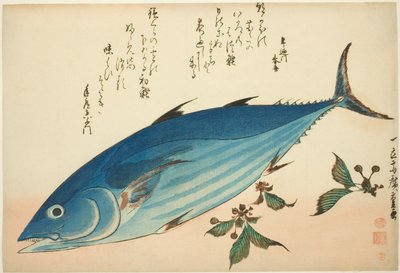 鲣鱼和虎耳草，选自无标题鱼类系列 作者 歌川宏重