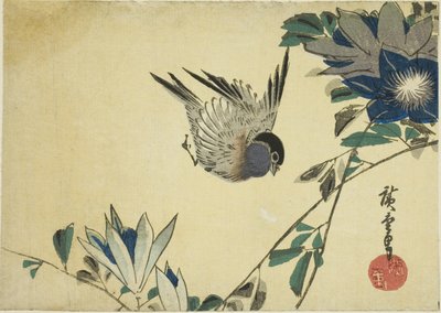 红腹灰雀和铁线莲 作者 歌川宏重