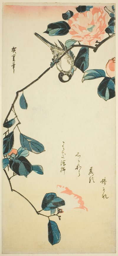 茶花枝上的红腹灰雀 作者 歌川宏重
