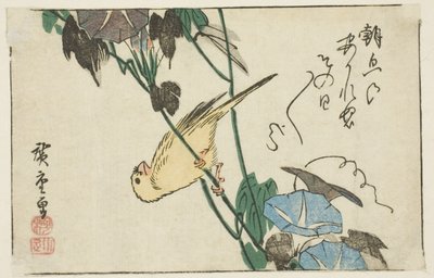 金丝雀和牵牛花 作者 歌川宏重