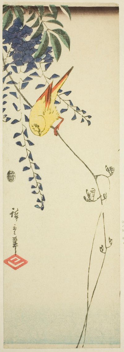 金丝雀和紫藤 作者 歌川宏重