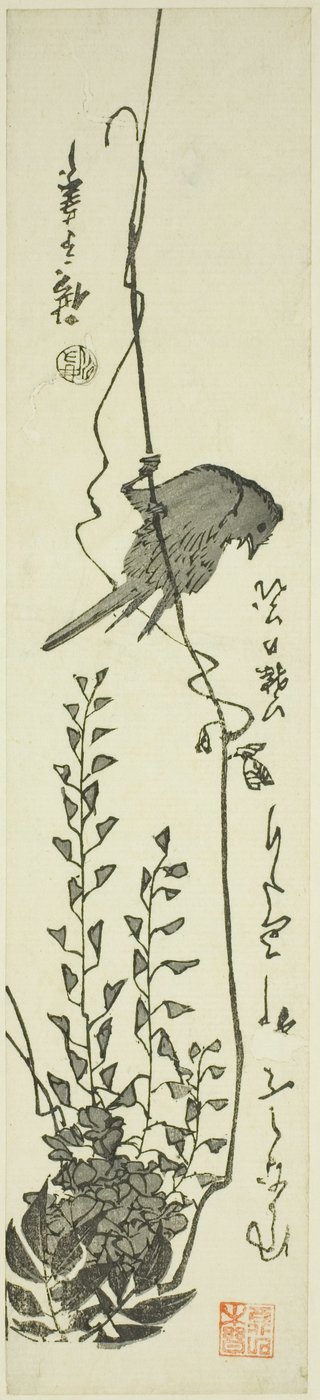 金丝雀和紫藤 作者 歌川宏重
