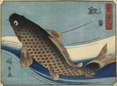 鲤鱼，1830-1844 作者 歌川宏重