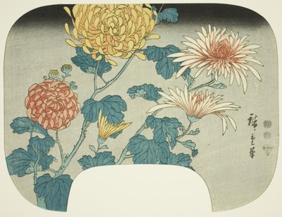 菊花 作者 歌川宏重