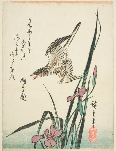 布谷鸟飞过鸢尾花 作者 歌川宏重