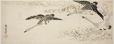 下降的大雁 作者 歌川宏重