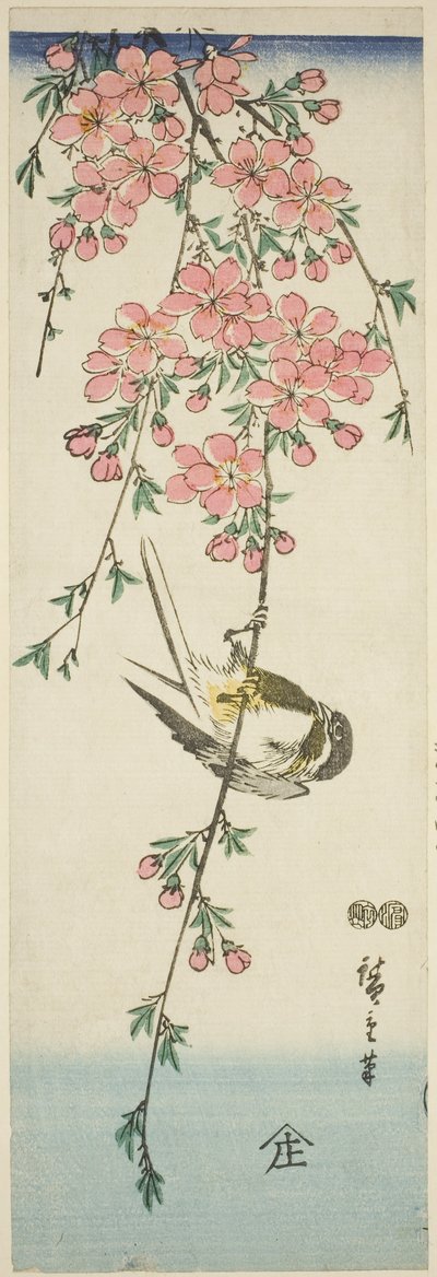 大山雀和樱花 作者 歌川宏重