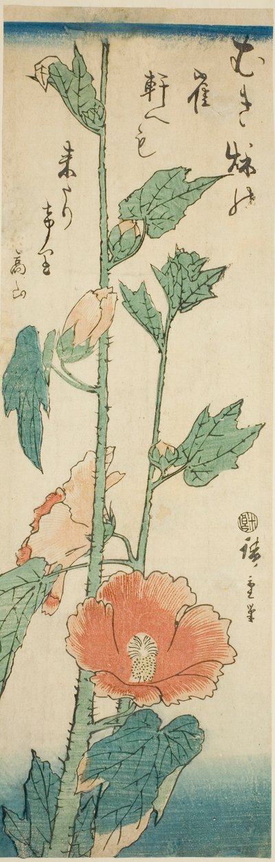 木槿花 作者 歌川宏重