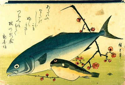 广重 鱼群 河豚 黄鱼 作者 歌川宏重