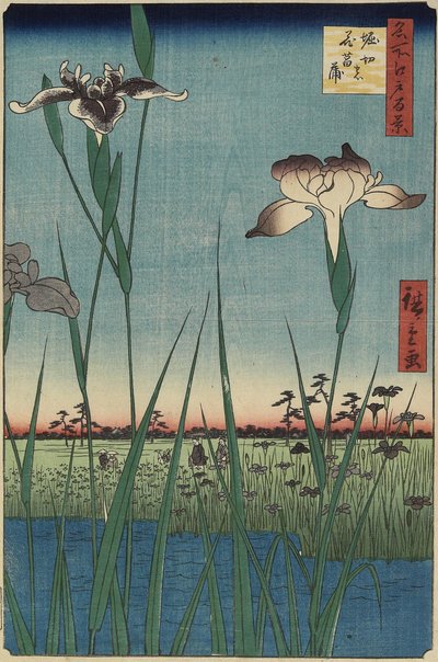 1857年5月在Horikiri的鸢尾花园 作者 Utagawa Hiroshige