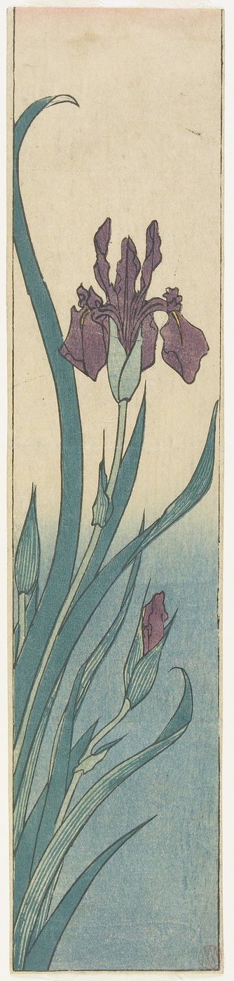 虹膜，19世纪初 作者 Utagawa Hiroshige