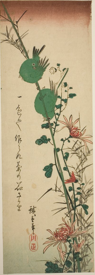 日本白眼菊和菊花 作者 歌川宏重