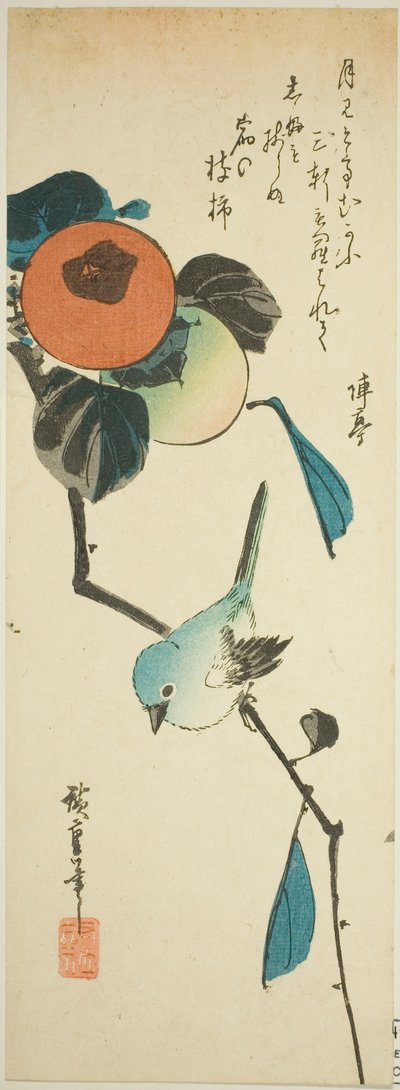 日本白眼和柿子 作者 歌川宏重