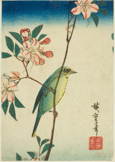 花枝上的日本白眼 作者 歌川宏重