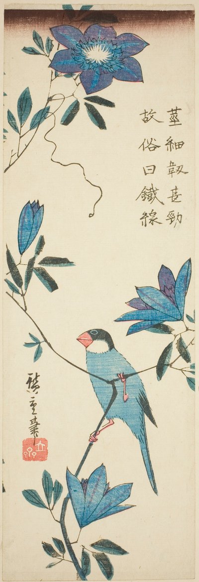 爪哇麻雀和铁线莲 作者 歌川宏重