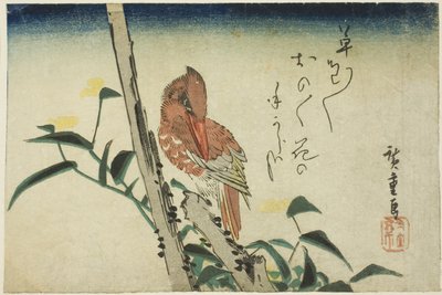 翠鸟和萱草 作者 歌川宏重