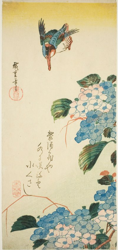 翠鸟和绣球花 作者 歌川宏重