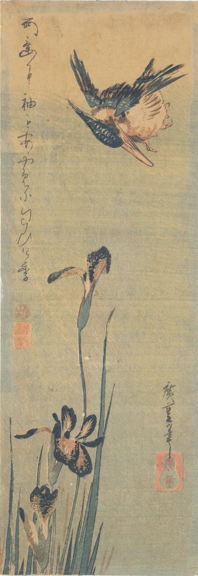 翠鸟飞过鸢尾花 作者 歌川宏重