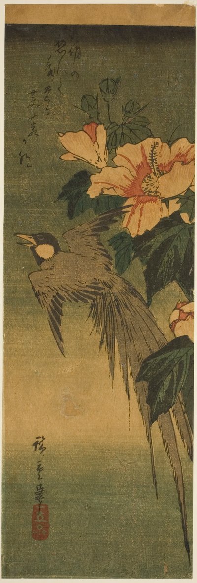 长尾鸟和芙蓉花 作者 歌川宏重