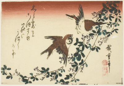 麻雀和灌木三叶草 作者 歌川宏重