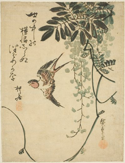 燕子和紫藤 作者 歌川宏重