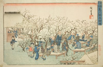 龟户梅园》，选自 "东都名胜（东都名胜）"系列 作者 歌川宏重