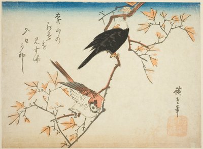 枫树枝上的两只鸟 作者 歌川宏重