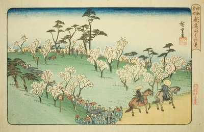 飞鸟山赏樱（飞鸟山花见），选自 "江户名胜（江户名胜）"系列 作者 歌川宏重