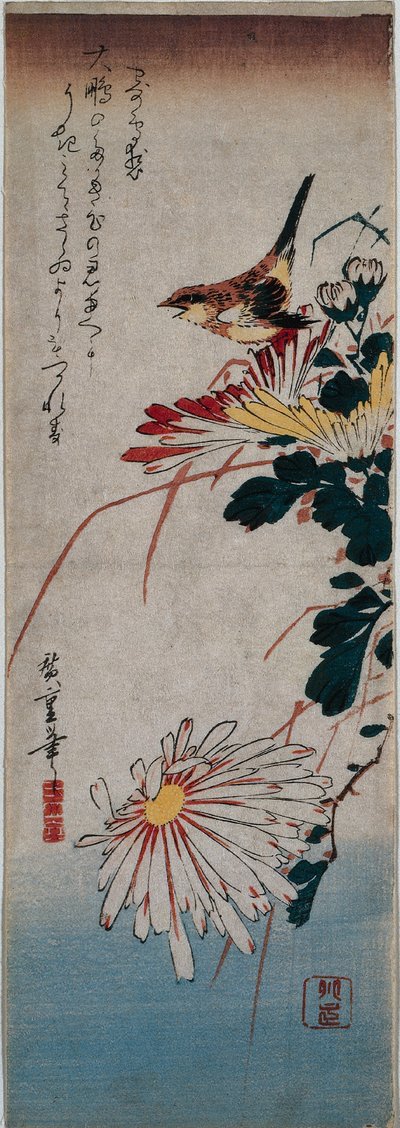 鹪鹩与菊花 作者 歌川宏重