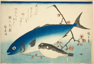 鰤鱼、河豚和梅枝 作者 歌川宏重