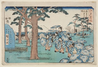 明日香山赏樱（彩色木版画 作者 歌川二广